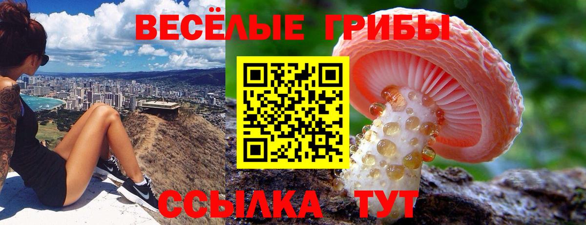 купить закладку  Псилоцибиновые грибы MAGIC MUSHROOMS  Вход с VPN  Кострома 